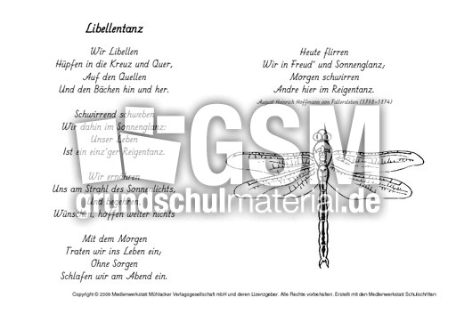 M-Libellentanz-Fallersleben.pdf